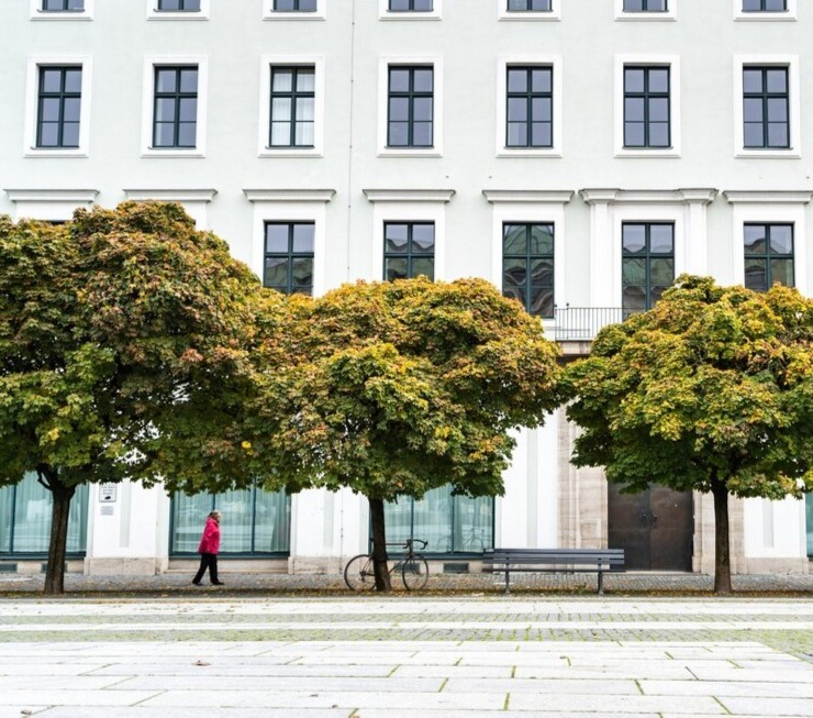 Patrimoine arboré urbain2